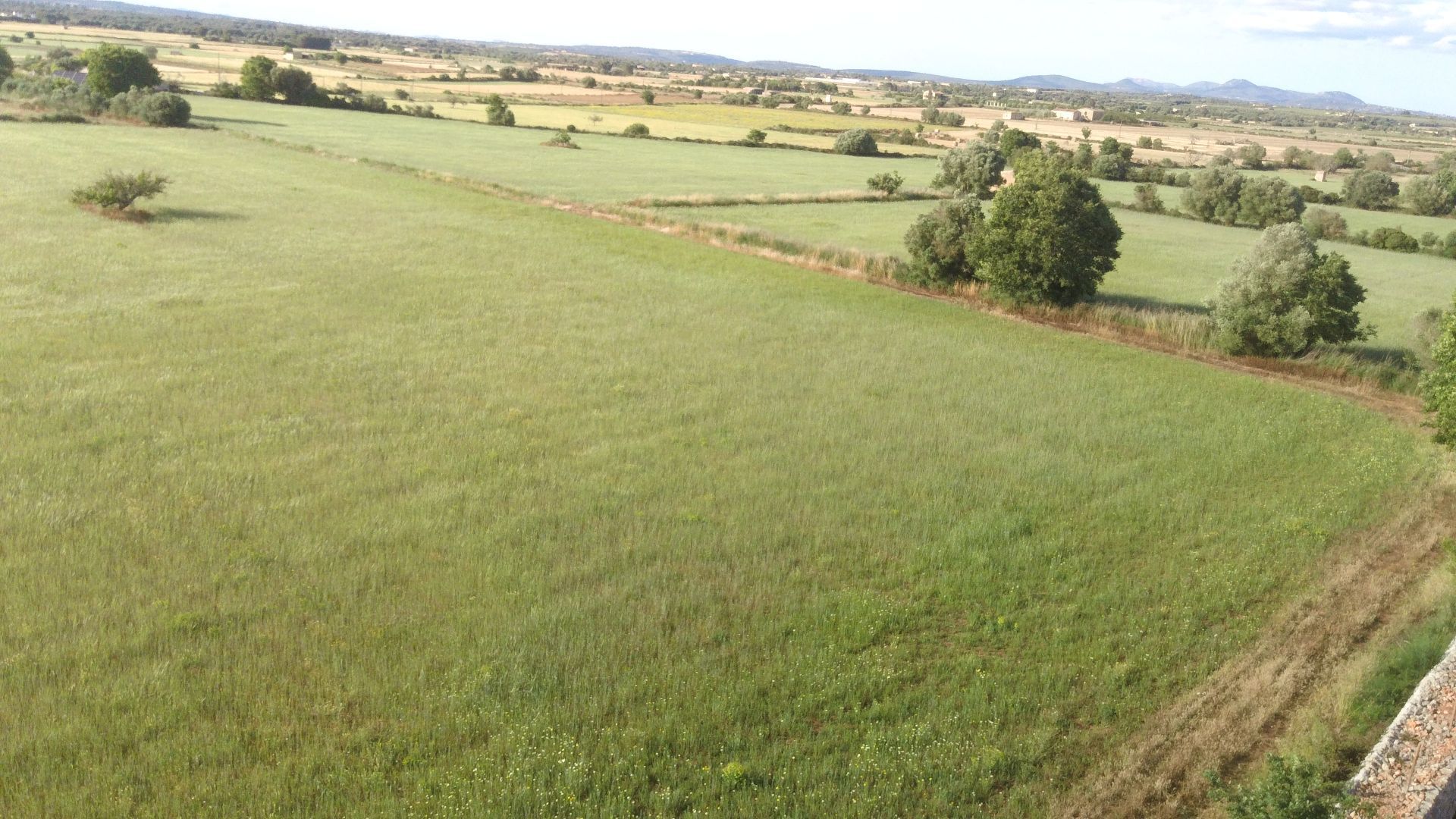 Terreno en venta en Felanitx
