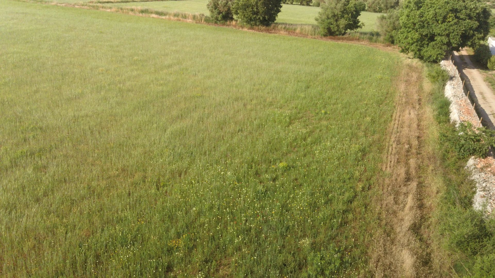 Terreno en venta en Felanitx
