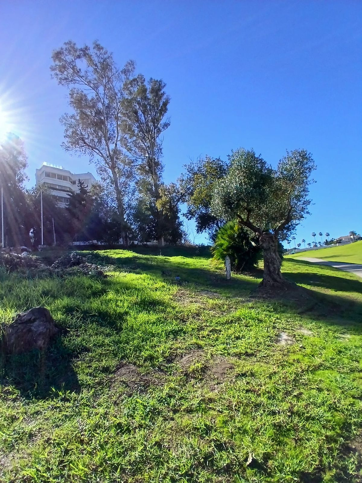 Парцел за продажба в Guadalmina Alta, San Pedro de Alcántara