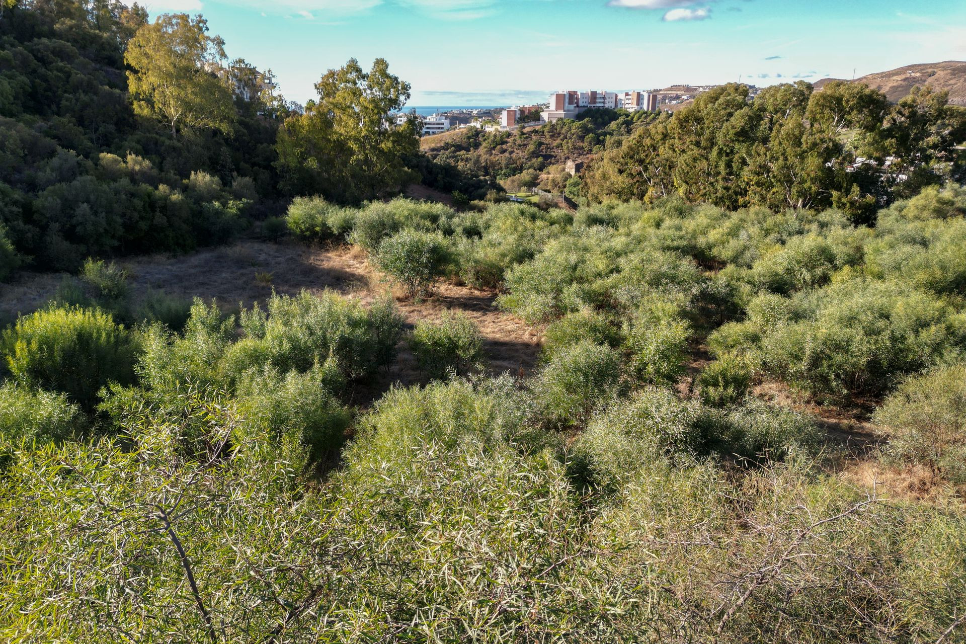 Terreno en venta en Los Almendros, Benahavís