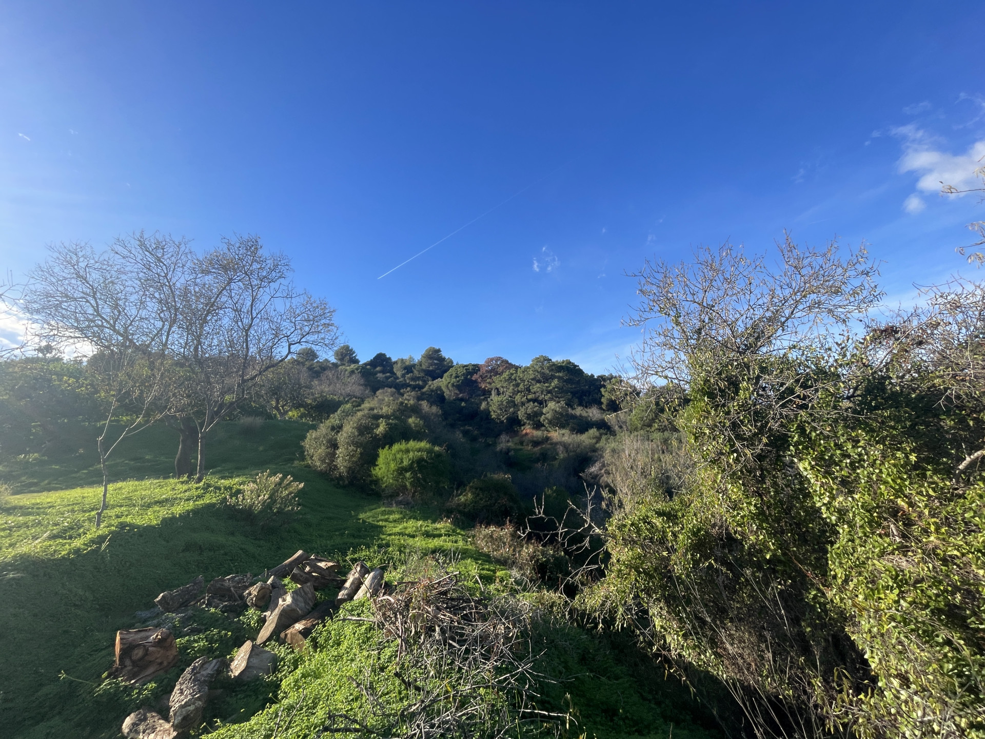 Finca de 4 Dormitorios en venta en Estepona