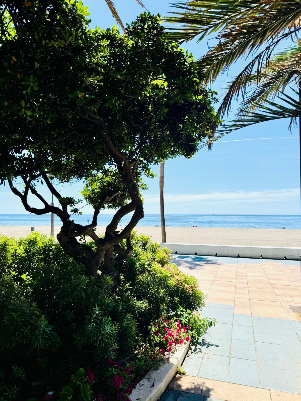 Piso de 3 Dormitorios en venta en Estepona