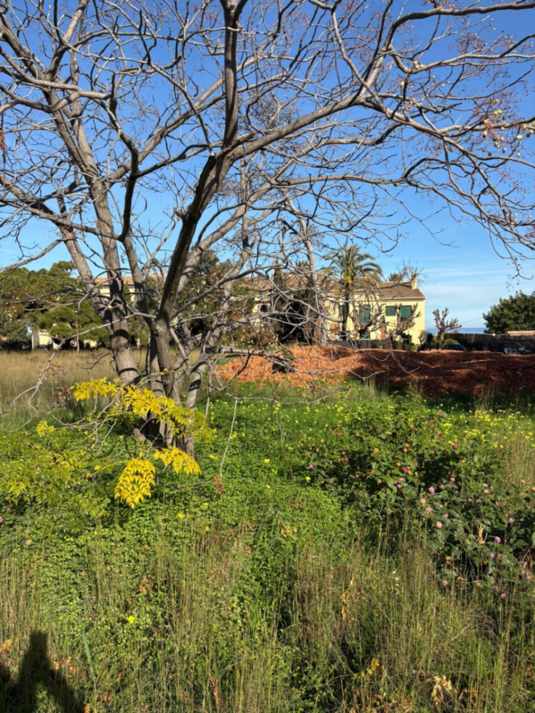 Terreno en venta en Monte Pego, Dénia