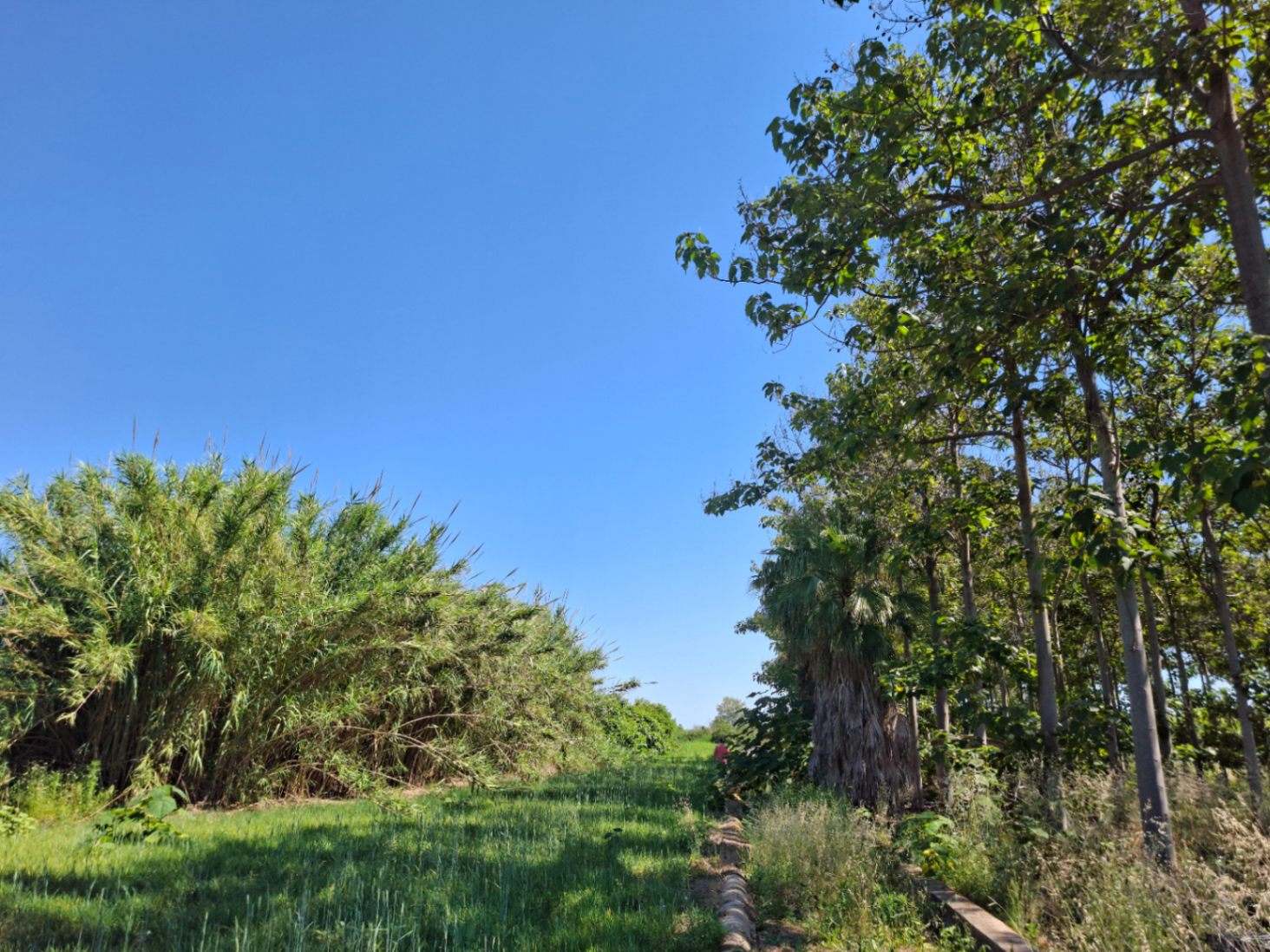 Terreno en venta en Pego