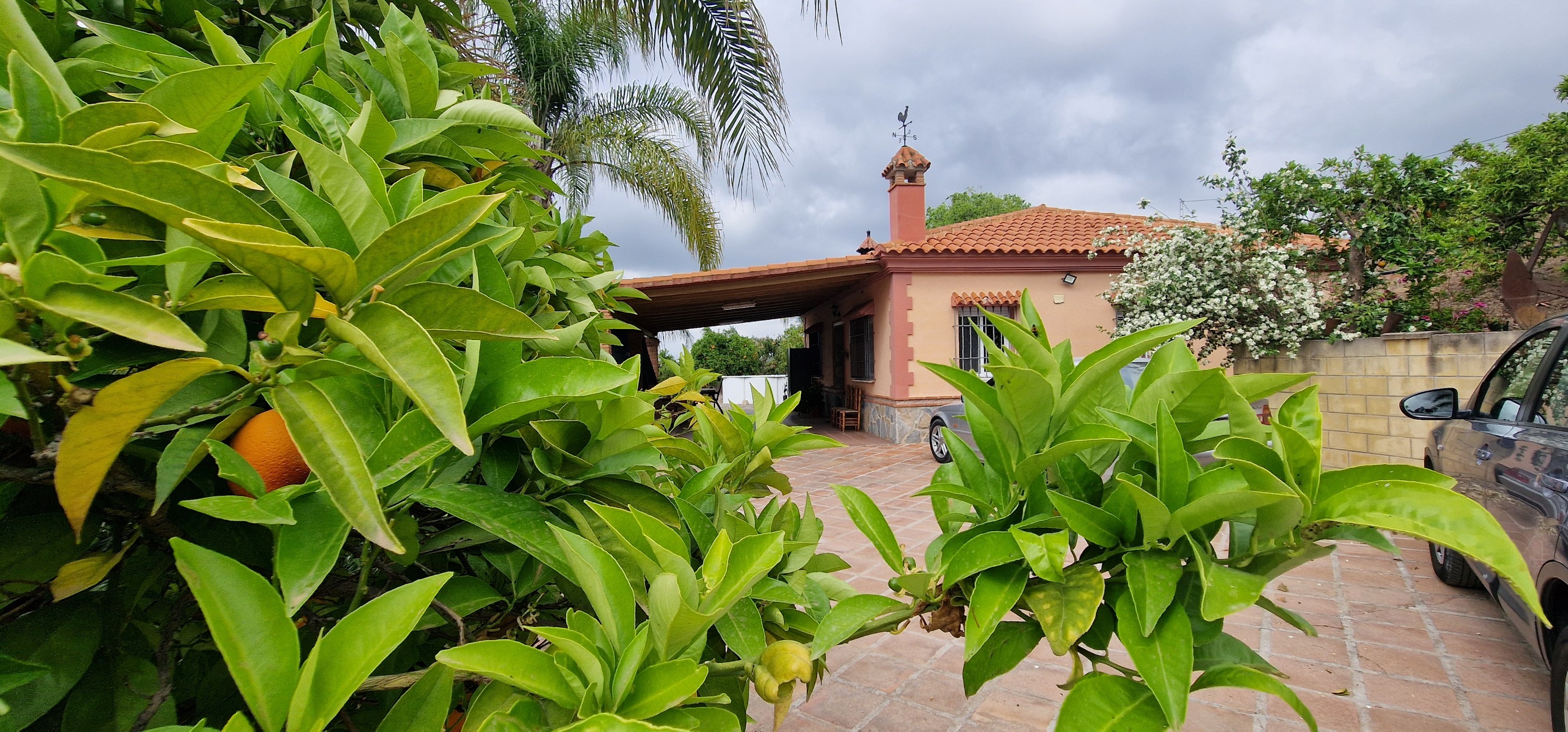 Finca de 3 Dormitorios en venta en Coin