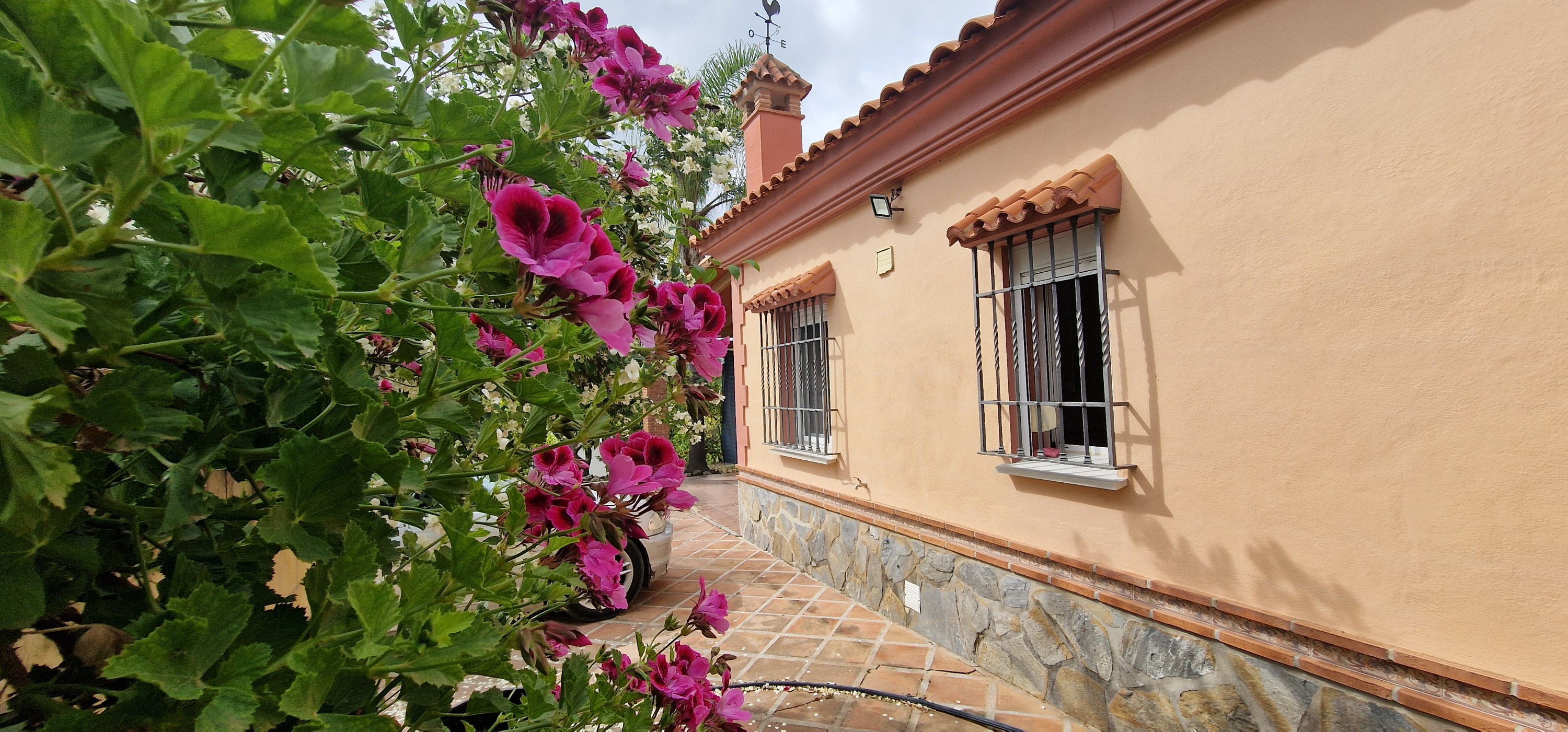 Finca de 3 Dormitorios en venta en Coin