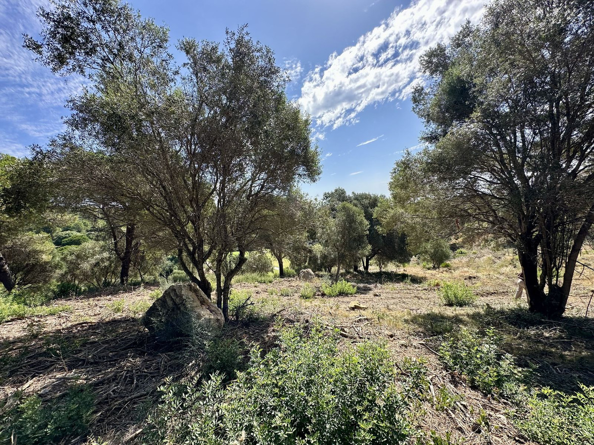 Terreno en venta en Sotogrande