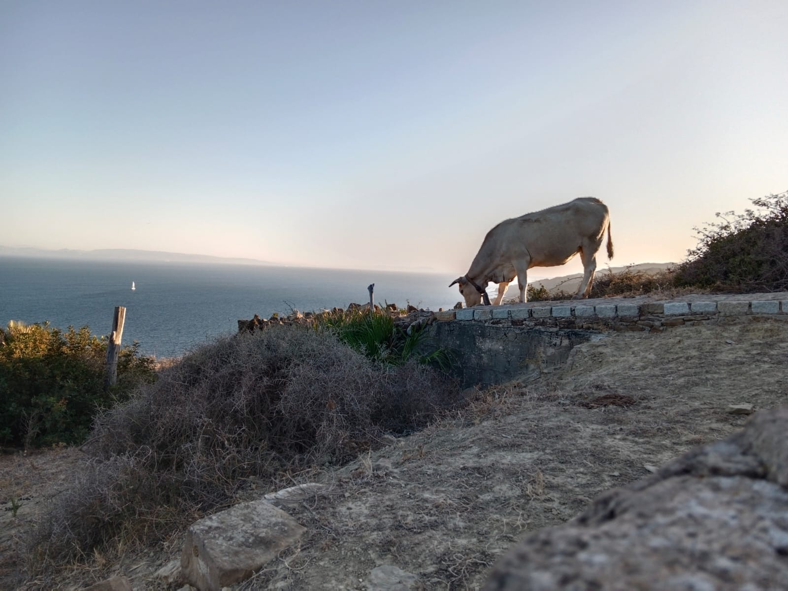 Terreno en venta en Tarifa