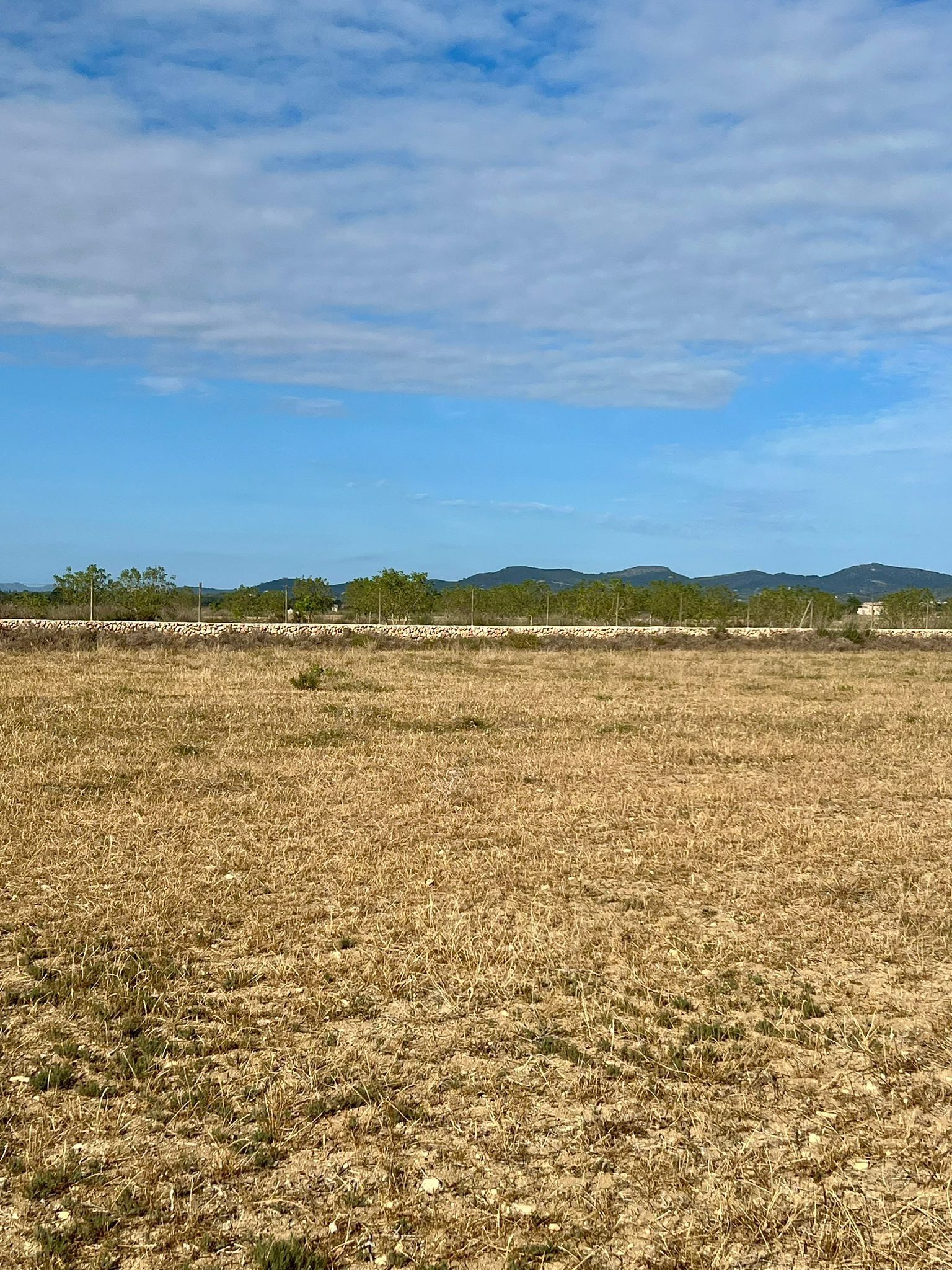 Terreno en venta en Felanitx