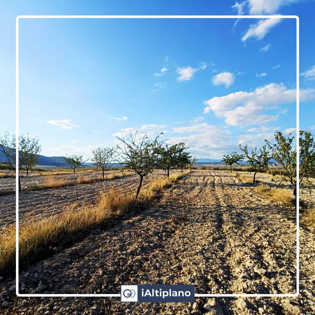 Finca de 3 Dormitorios en venta en Baza