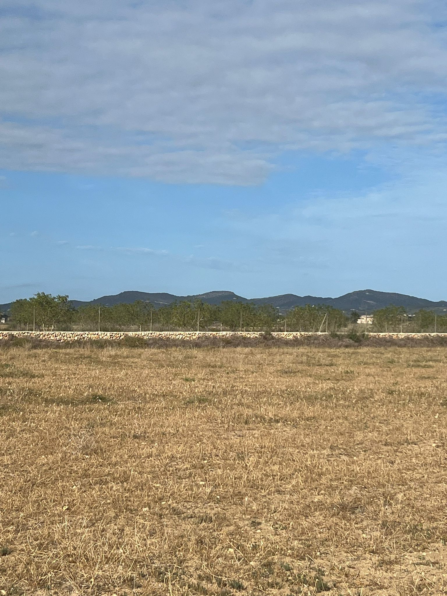Terreno en venta en Felanitx