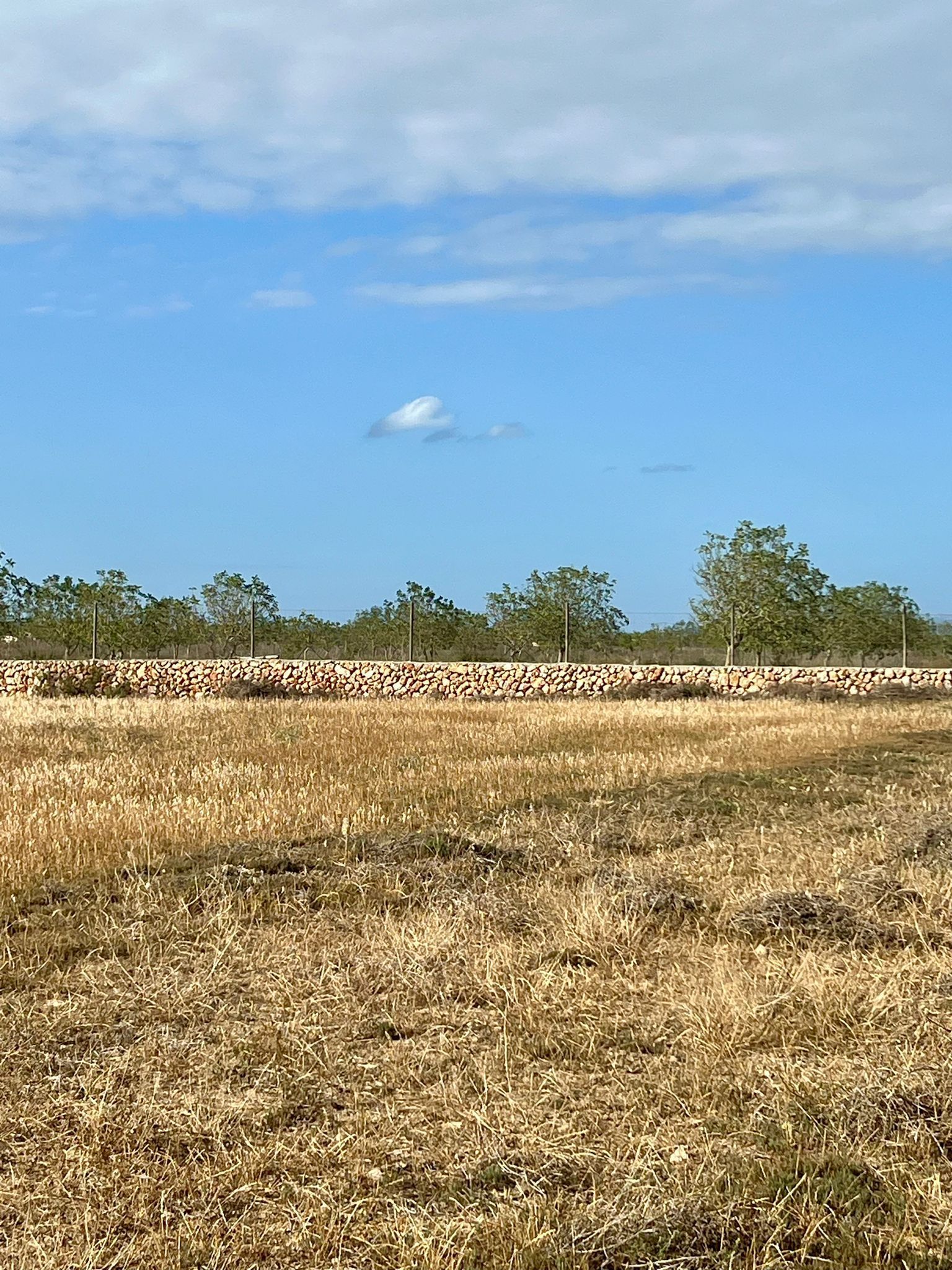 Terreno en venta en Felanitx