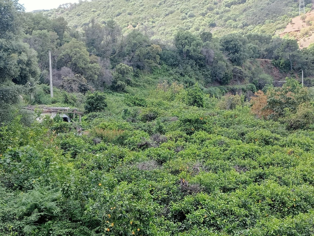 Terreno en venta en Estepona