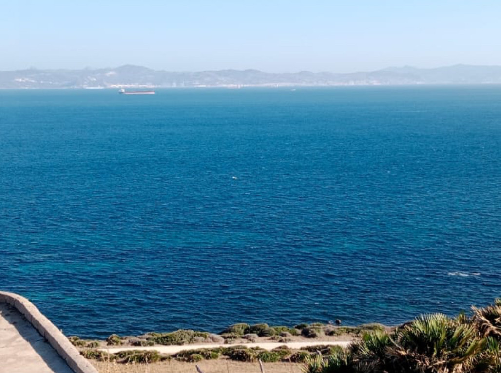 Terreno en venta en Tarifa