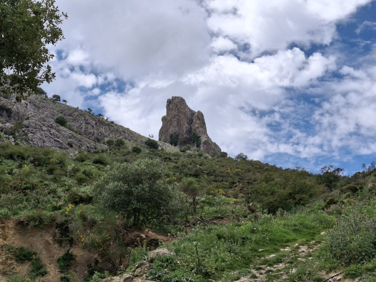 Terreno en venta en Alfarnatejo