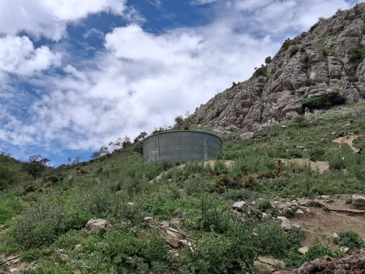 Terreno en venta en Alfarnatejo