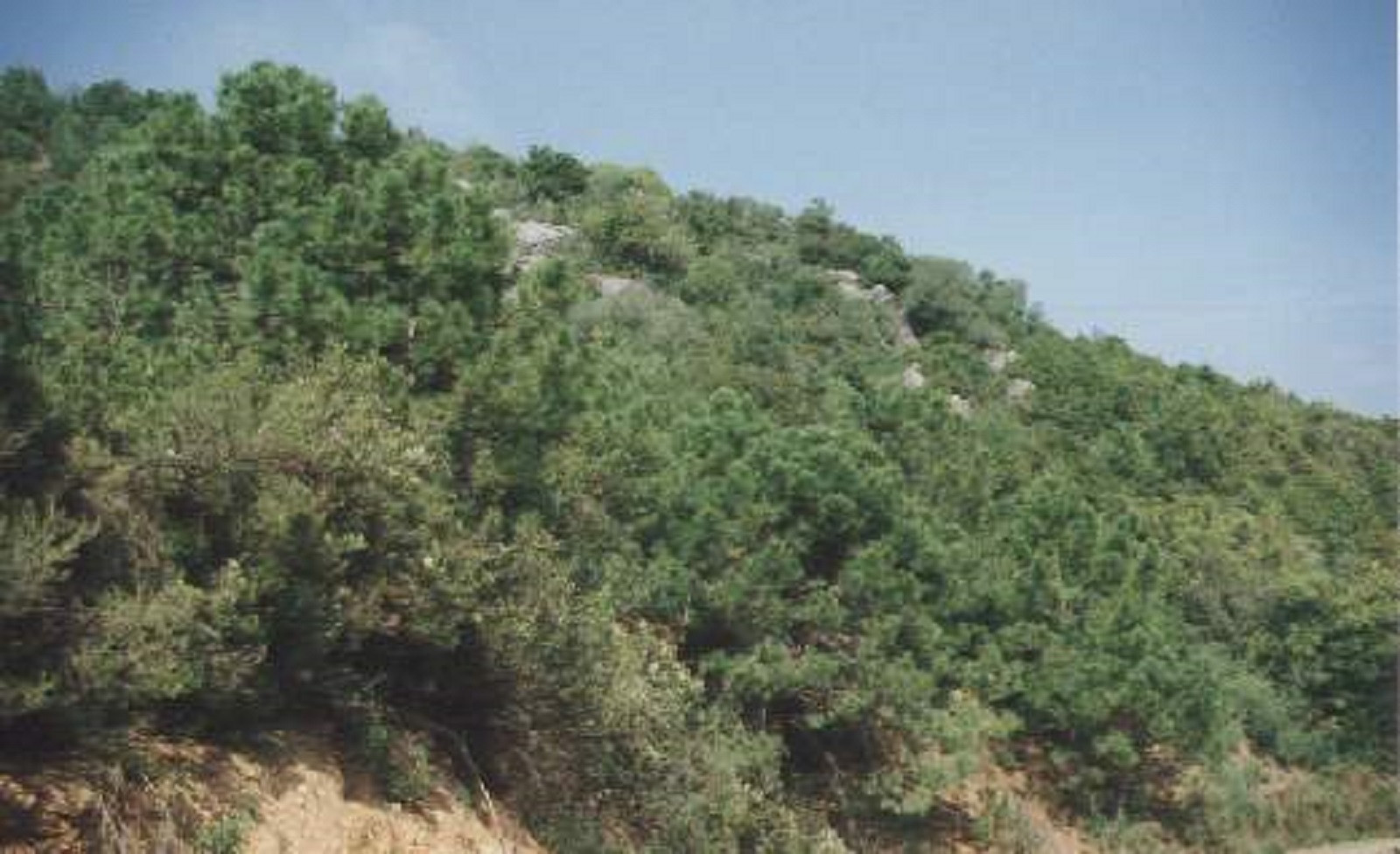 Terreno en venta en Estepona