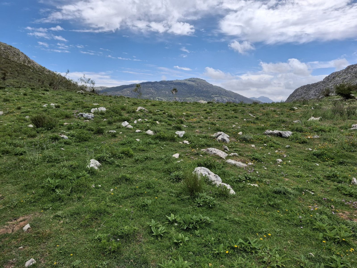 Terreno en venta en Alfarnatejo