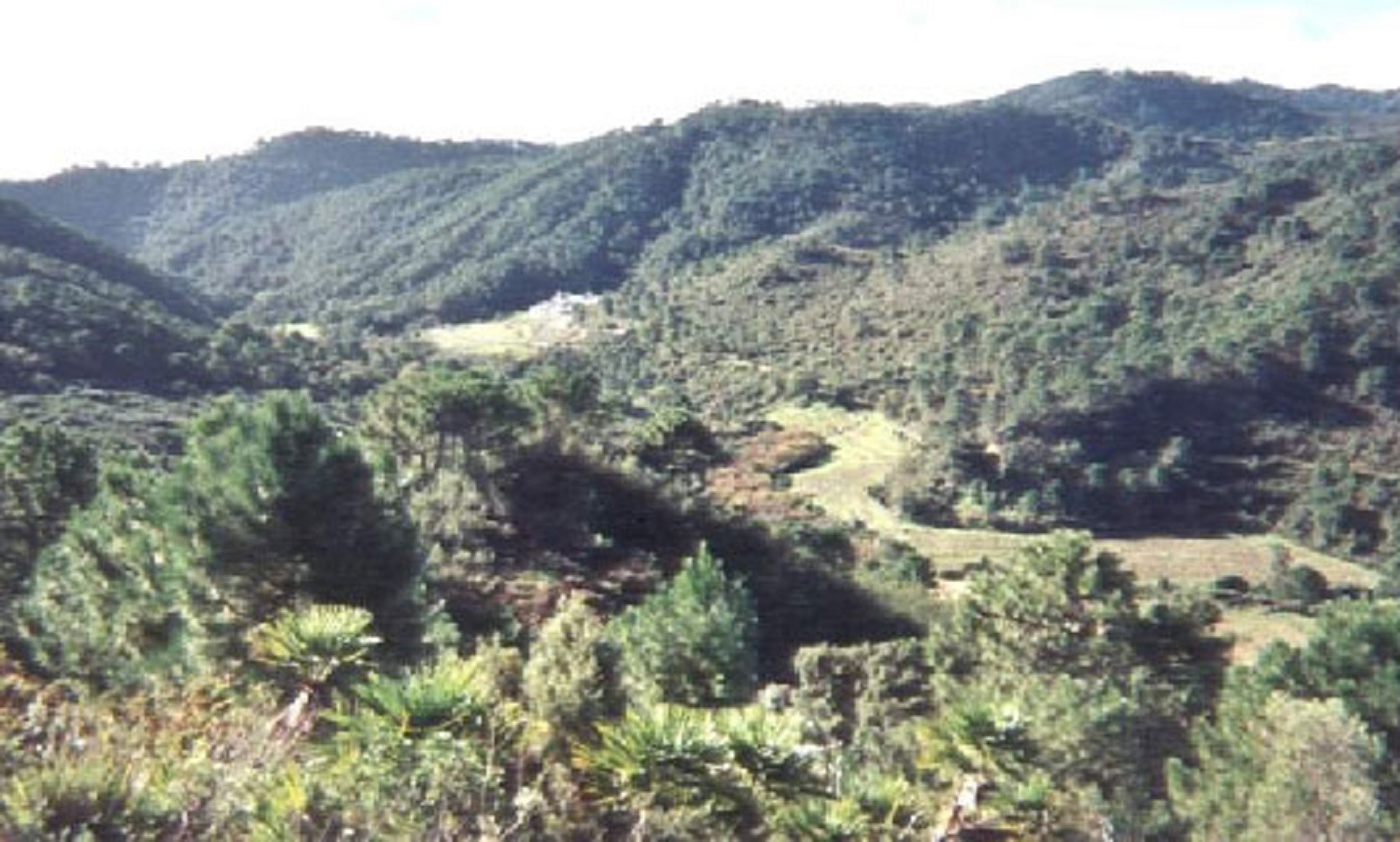 Terreno en venta en Estepona