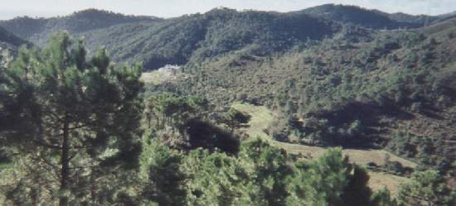 Terreno en venta en Estepona