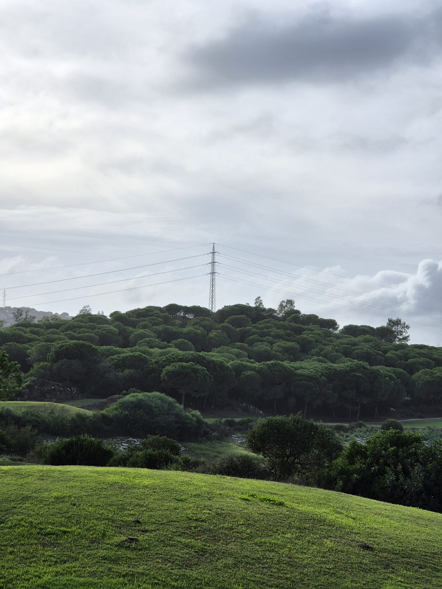 Terreno en venta en Sotogrande
