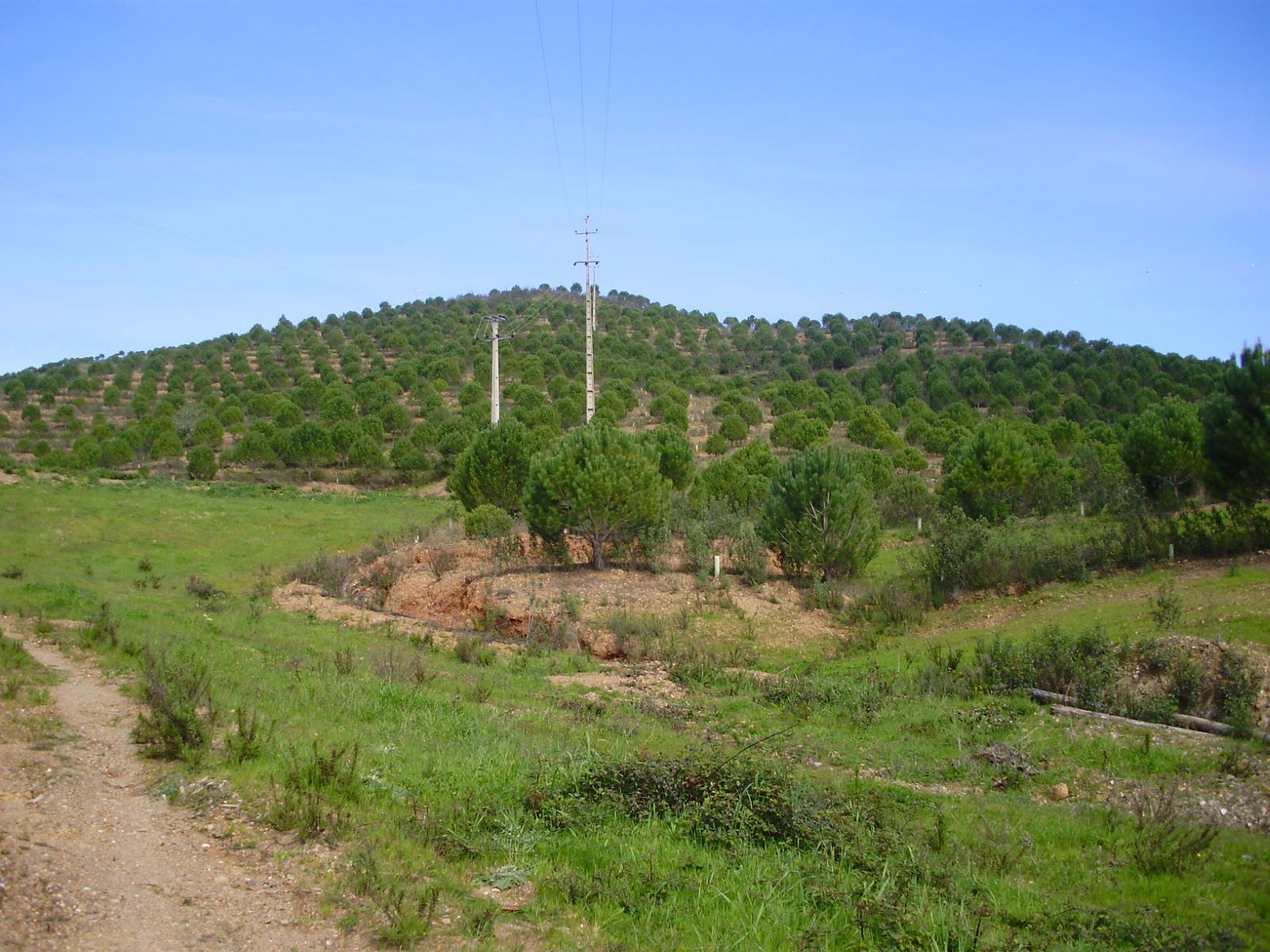 Terreno en venta en Silves