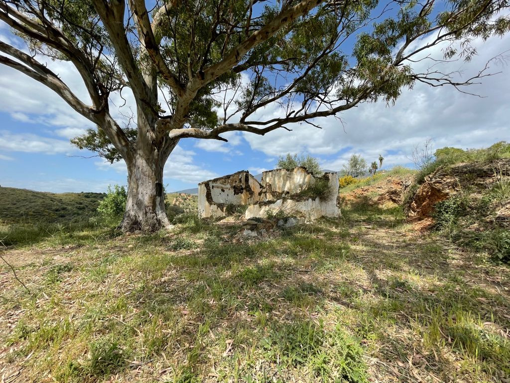 Plot for Sale in Mijas