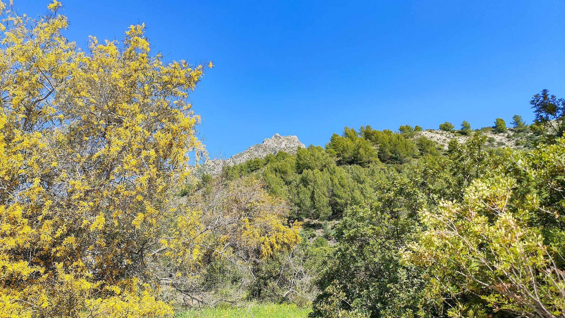Terreno en venta en Milla de Oro, Marbella