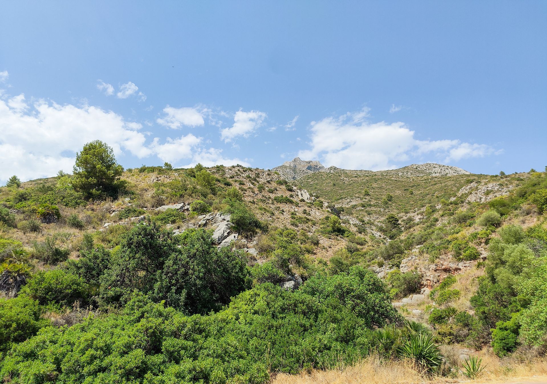 Terreno en venta en Milla de Oro, Marbella