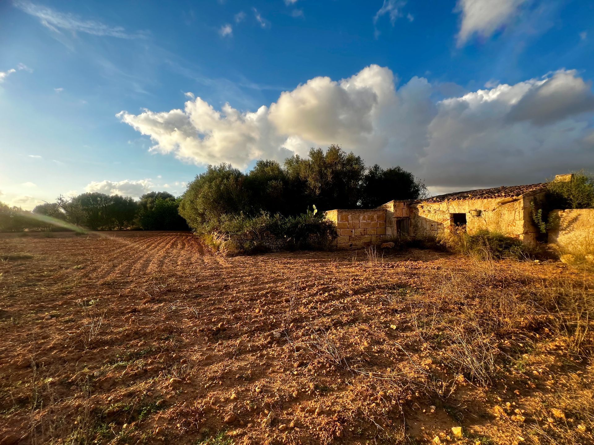 Terreno en venta en Felanitx