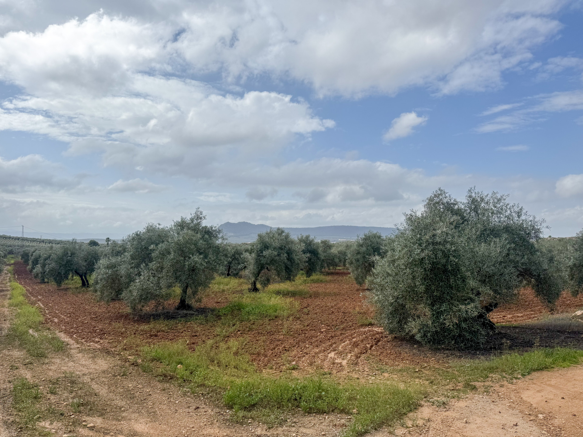 Terreno en venta en Mollina