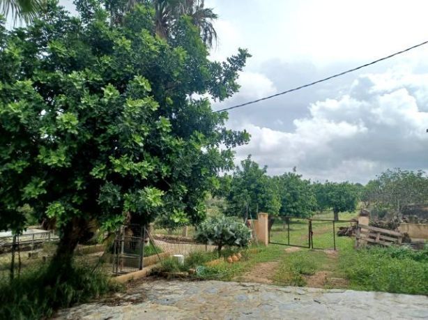 Finca de 5 Dormitorios y 2 Baños en venta en Portocolom