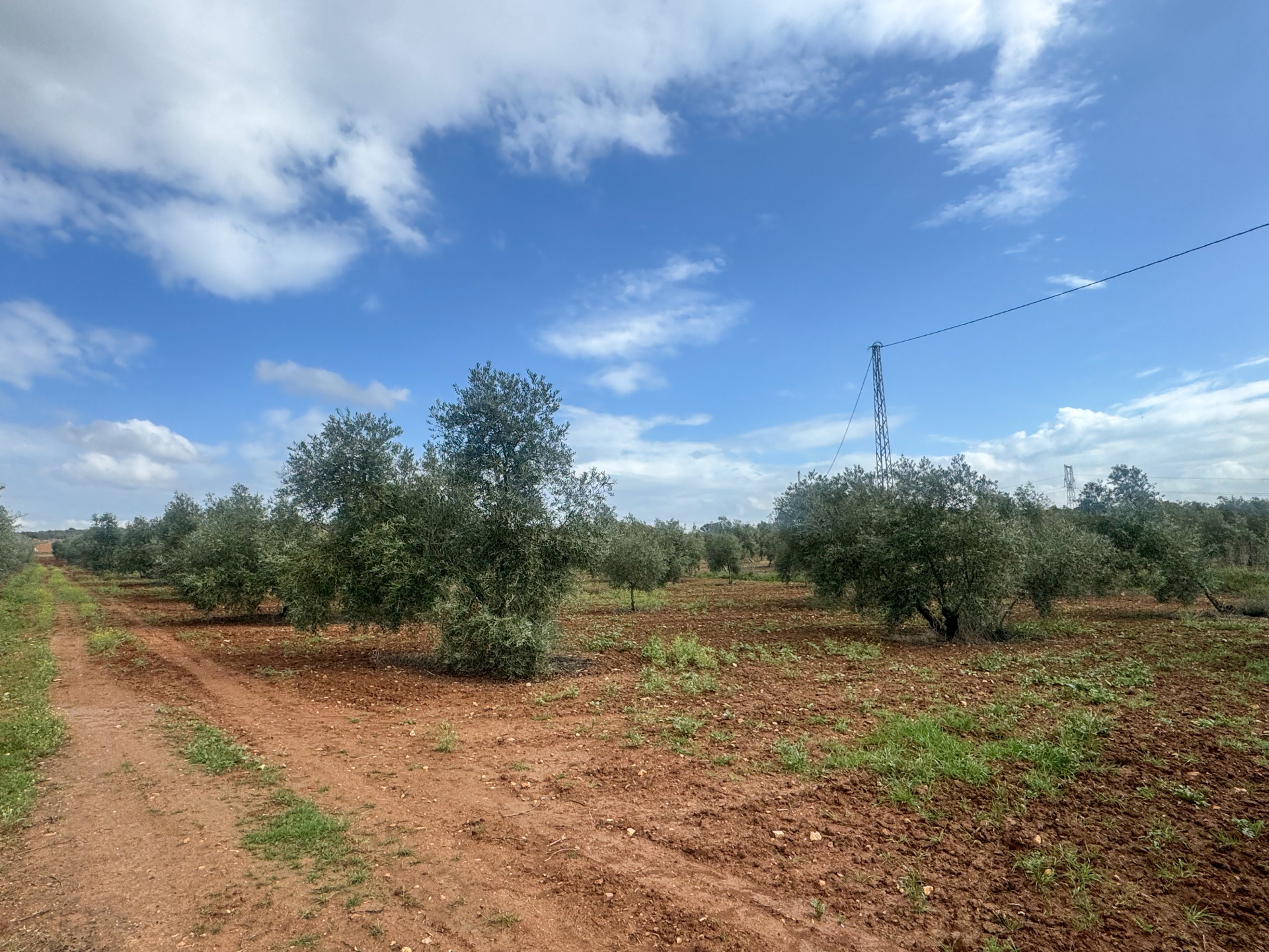 Terreno en venta en Mollina