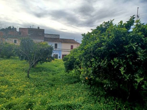 Terreno en venta en Felanitx