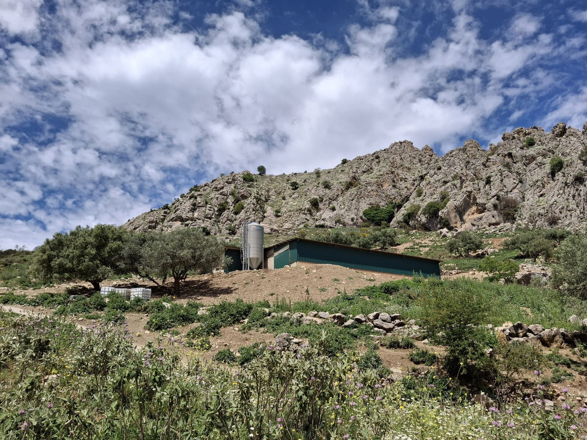Terreno en venta en Alfarnatejo