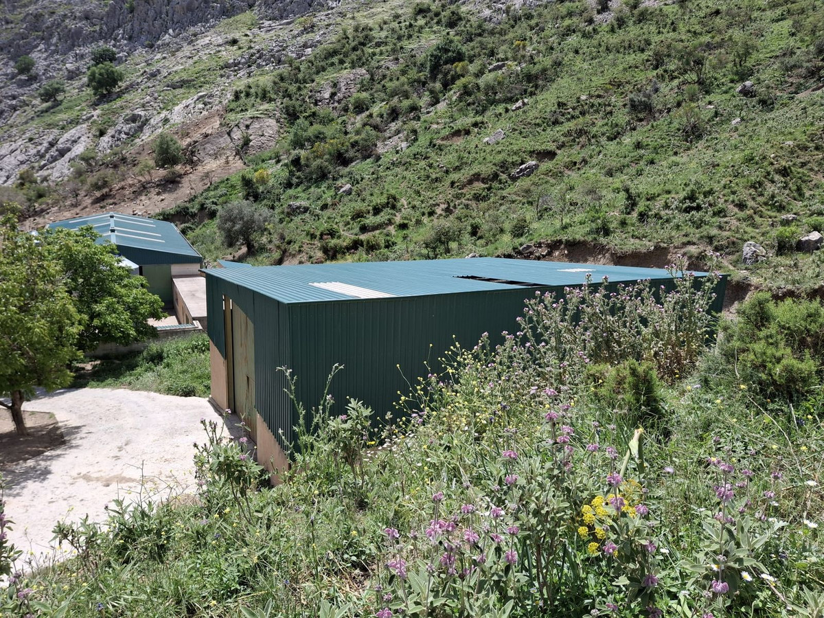 Terreno en venta en Alfarnatejo