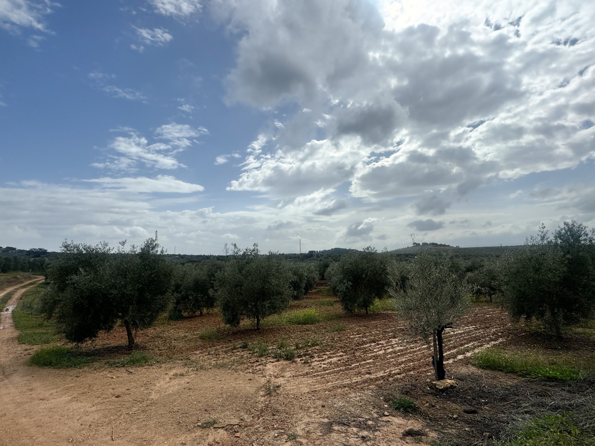 Terreno en venta en Mollina