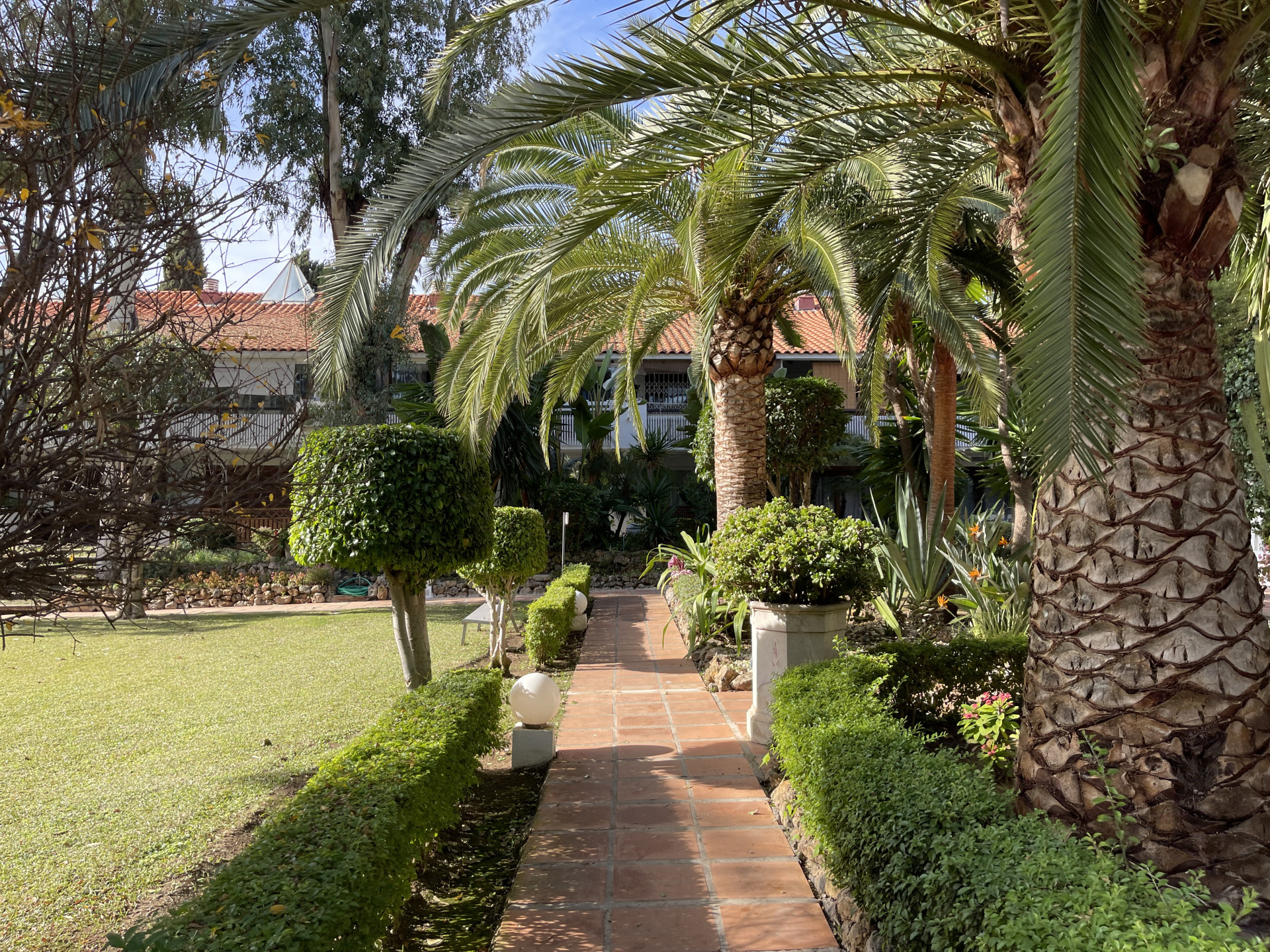 Studio for Rent in Nueva Andalucia, Marbella