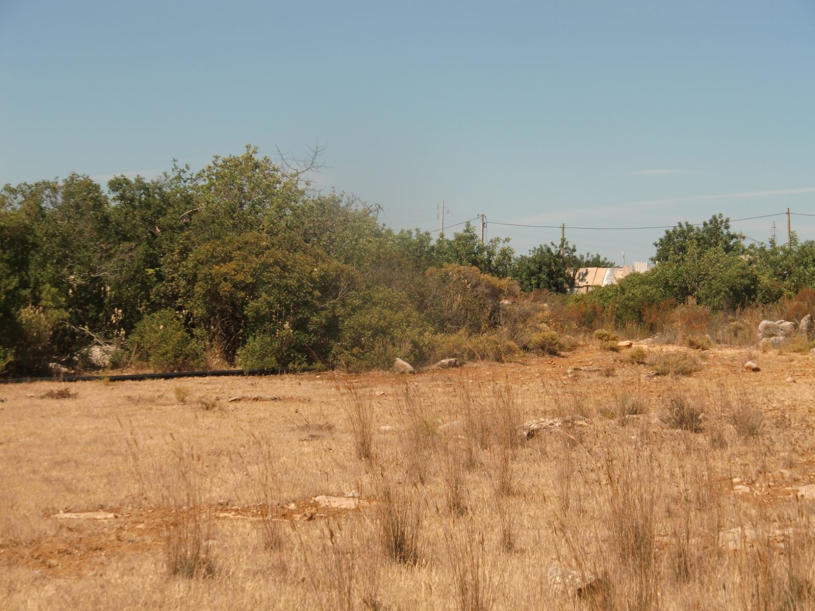 Terreno en venta en Faro