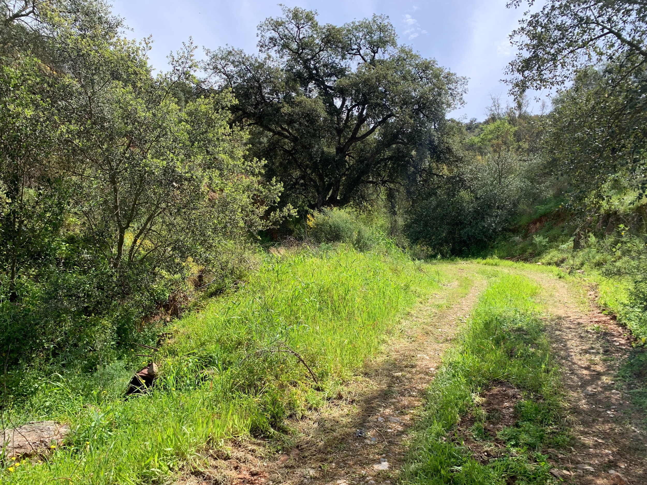 Finca de 2 Dormitorios en venta en Coin