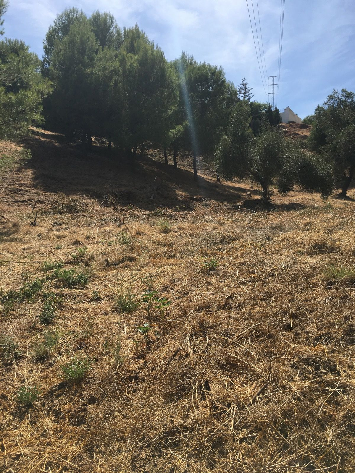 Terreno en venta en Las Chapas, Marbella