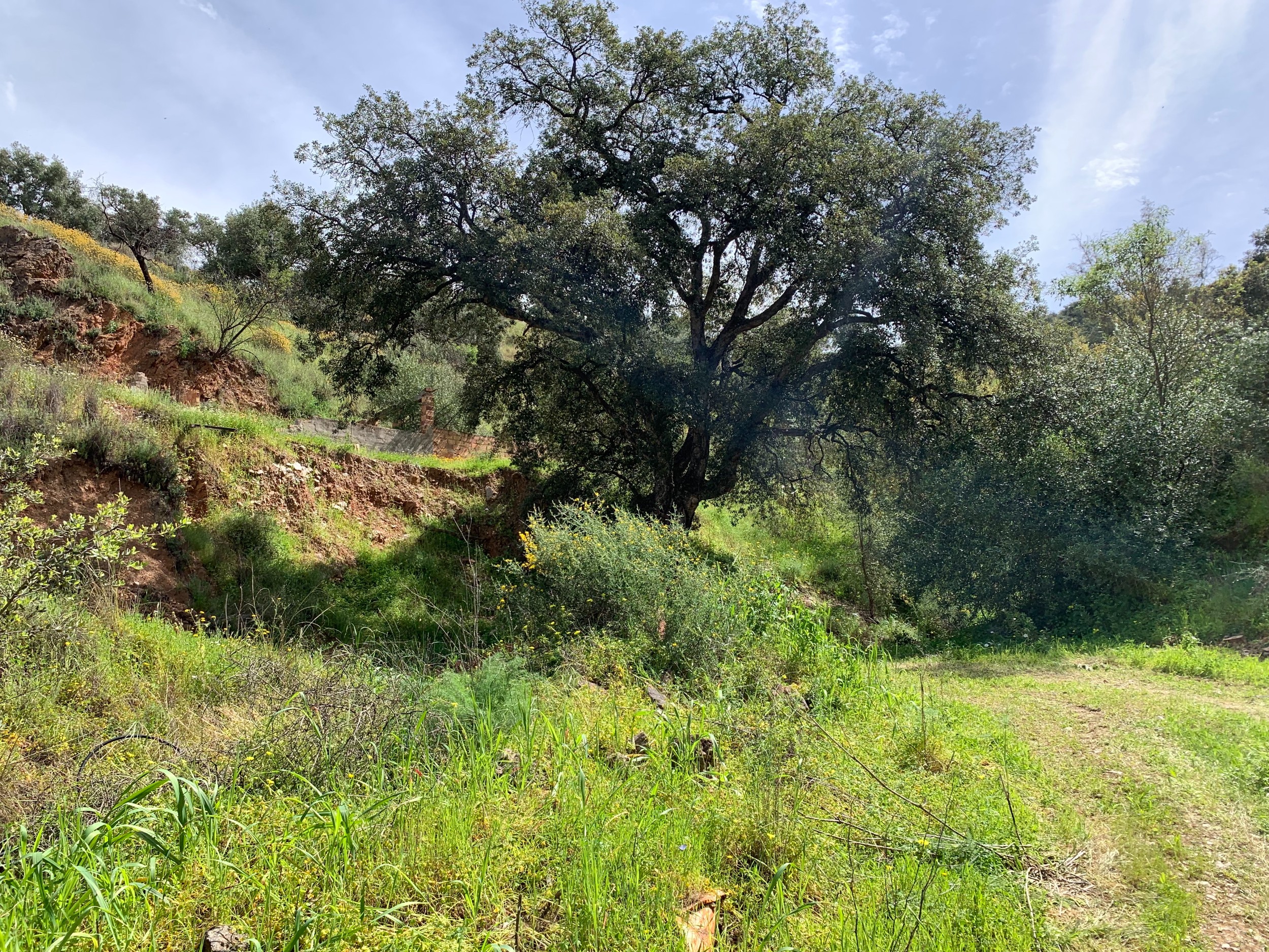 Finca de 2 Dormitorios en venta en Coin